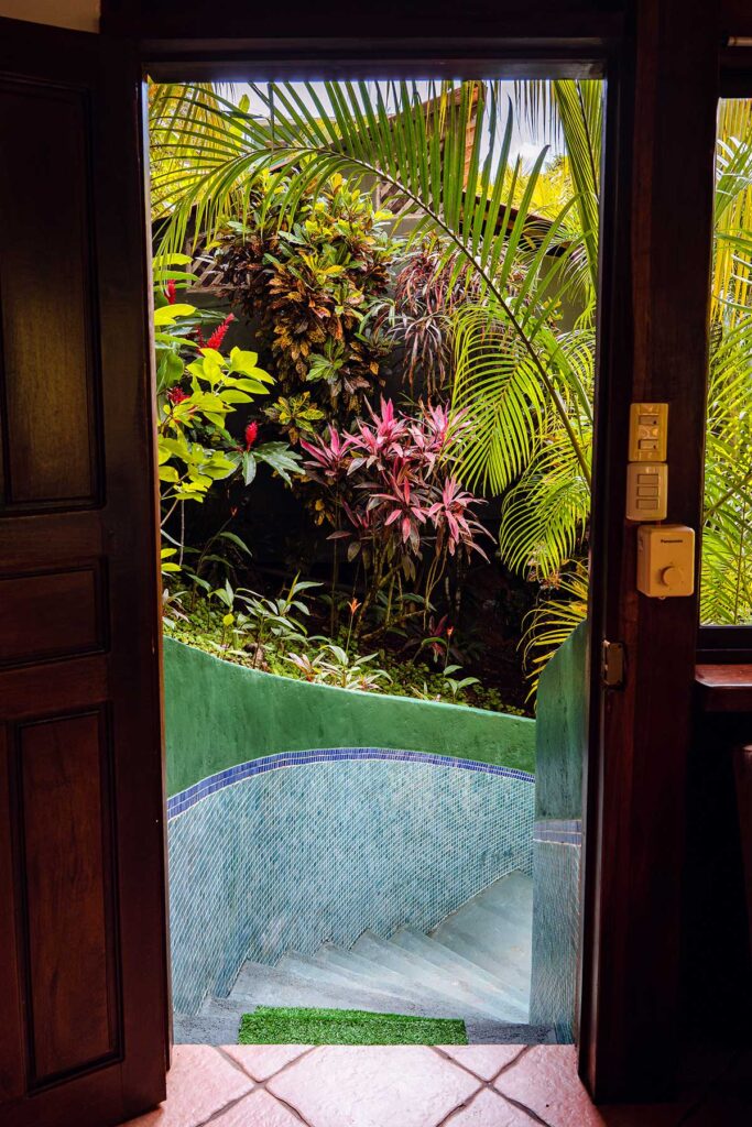 Tucancillo - Flor de Paraíso, Montezuma, Costa Rica