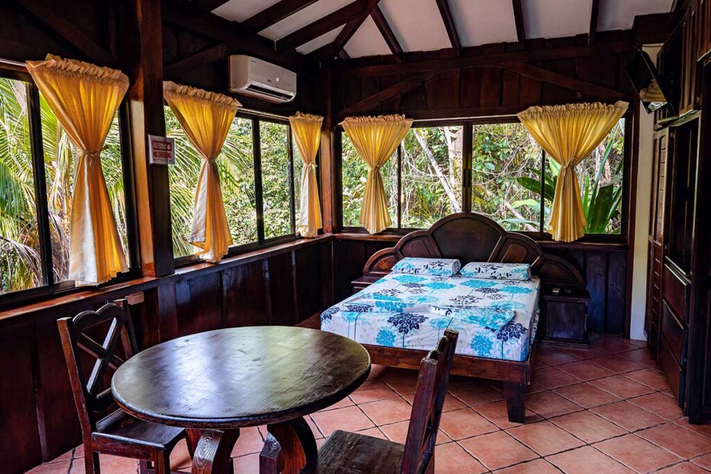 Tucancillo - Flor de Paraíso, Montezuma, Costa Rica