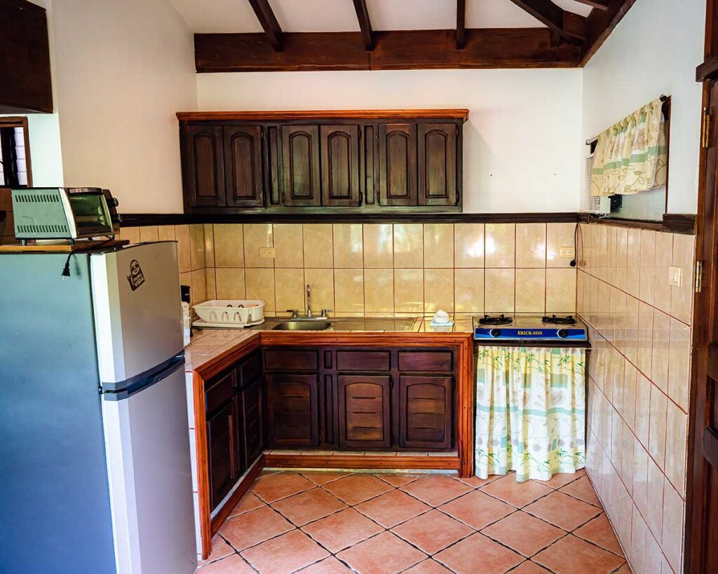 Tucancillo - Flor de Paraíso, Montezuma, Costa Rica