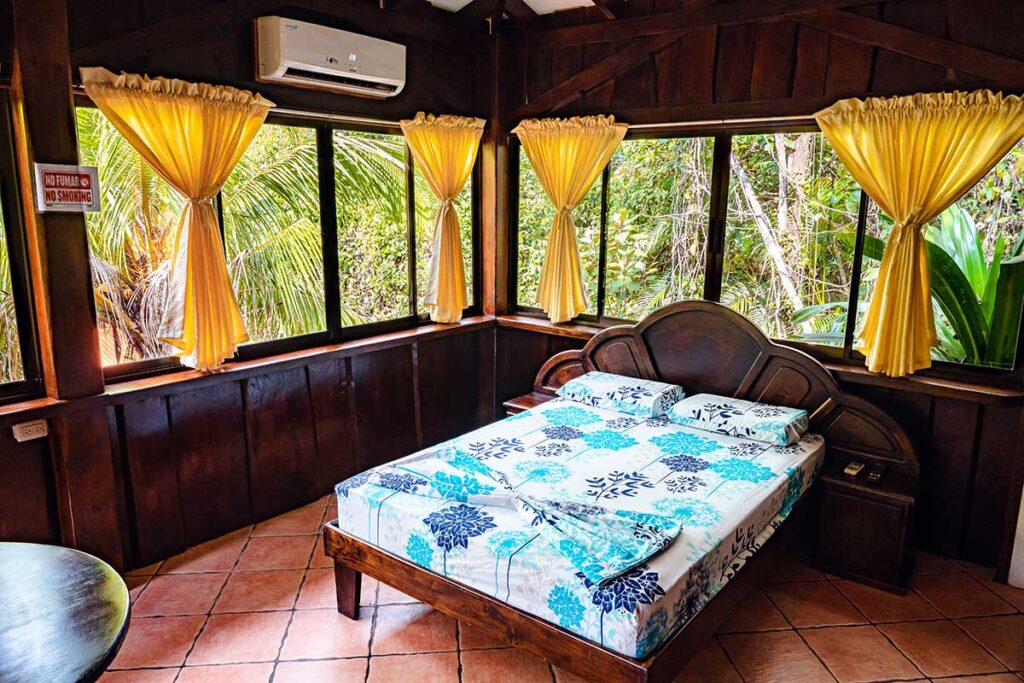 Tucancillo - Flor de Paraíso, Montezuma, Costa Rica