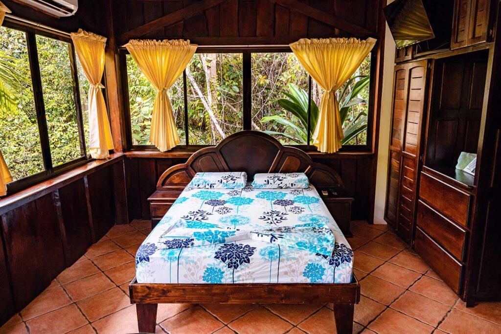 Tucancillo - Flor de Paraíso, Montezuma, Costa Rica