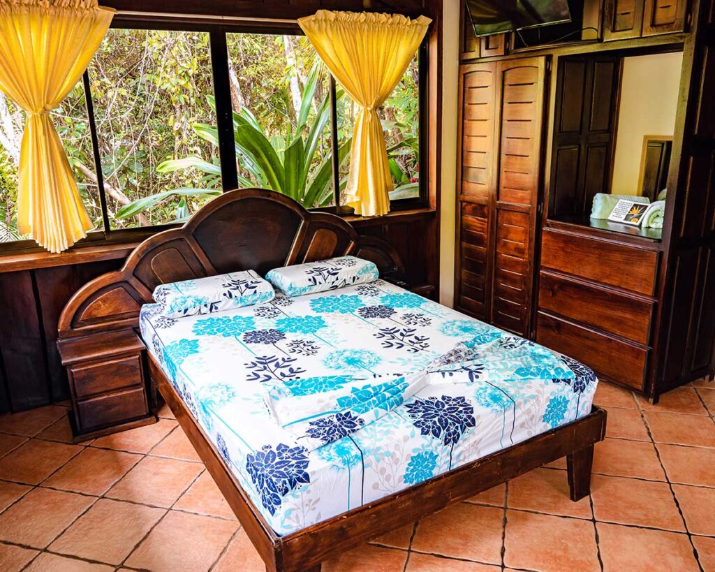 Tucancillo - Flor de Paraíso, Montezuma, Costa Rica