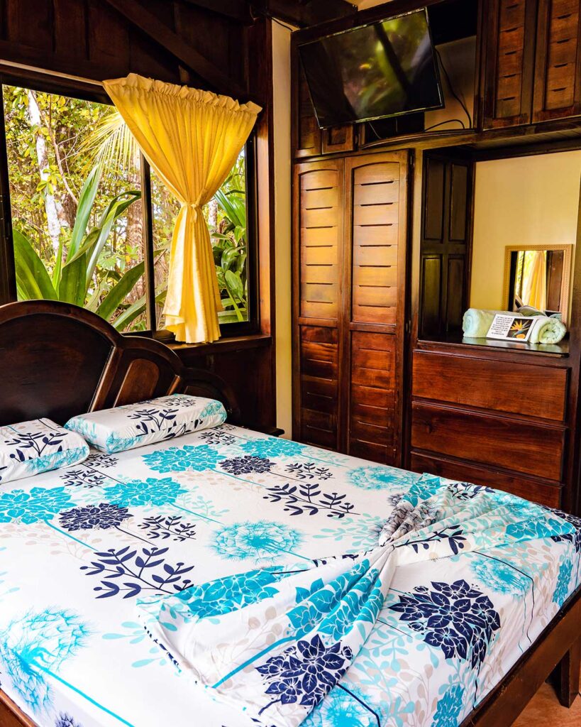 Tucancillo - Flor de Paraíso, Montezuma, Costa Rica