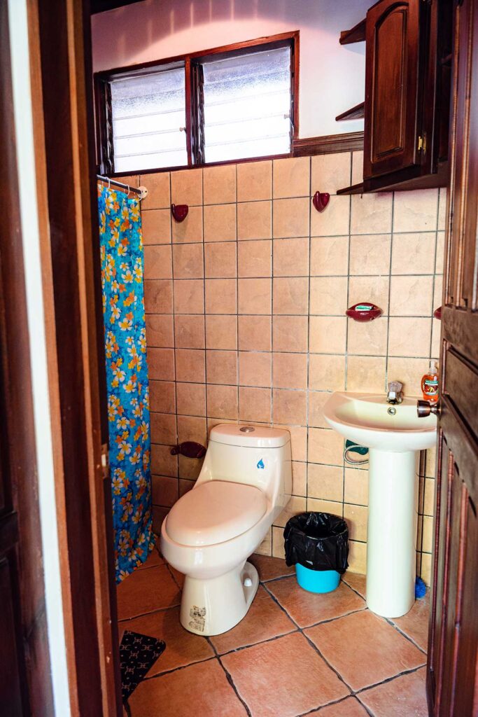 Tucancillo - Flor de Paraíso, Montezuma, Costa Rica