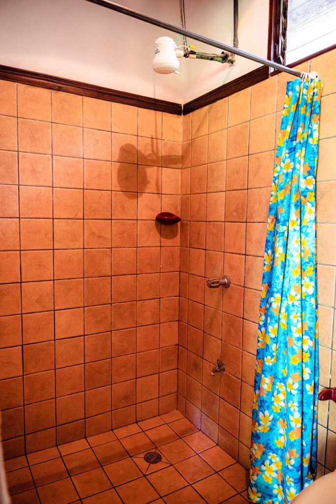 Tucancillo - Flor de Paraíso, Montezuma, Costa Rica