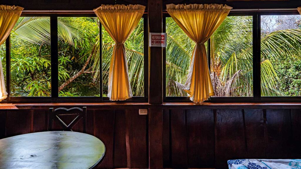 Tucancillo - Flor de Paraíso, Montezuma, Costa Rica