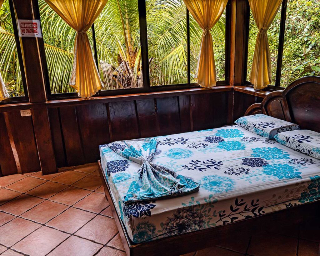 Tucancillo - Flor de Paraíso, Montezuma, Costa Rica