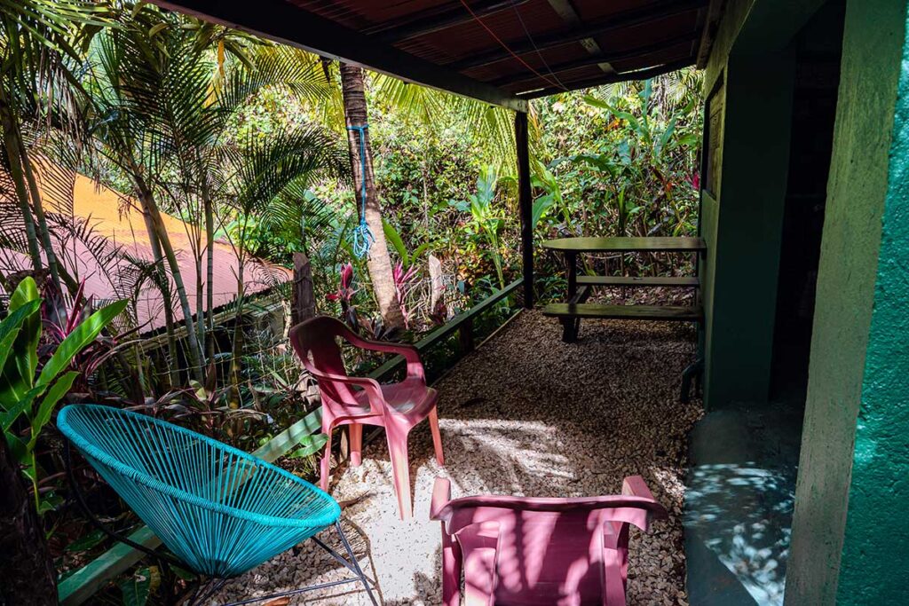 Tucancillo - Flor de Paraíso, Montezuma, Costa Rica