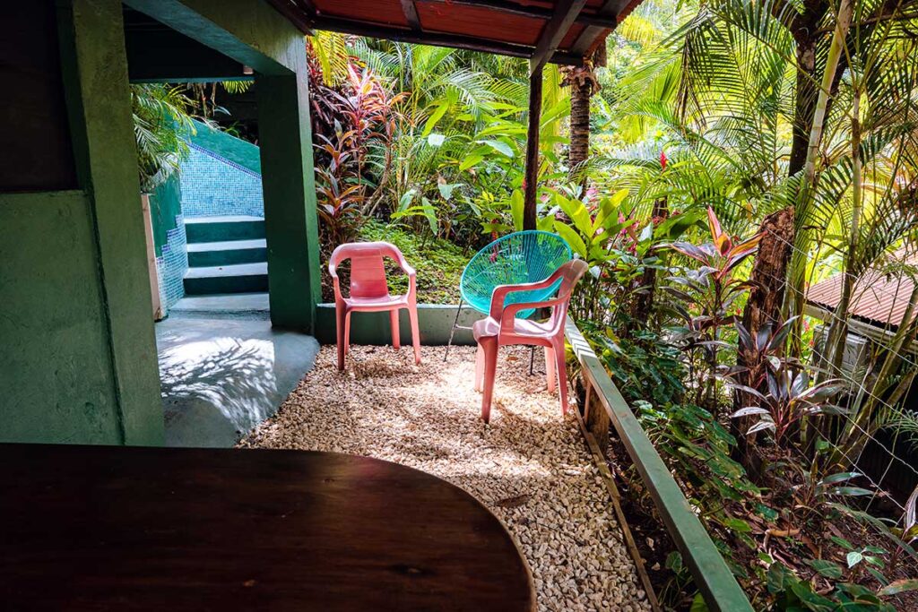 Tucancillo - Flor de Paraíso, Montezuma, Costa Rica