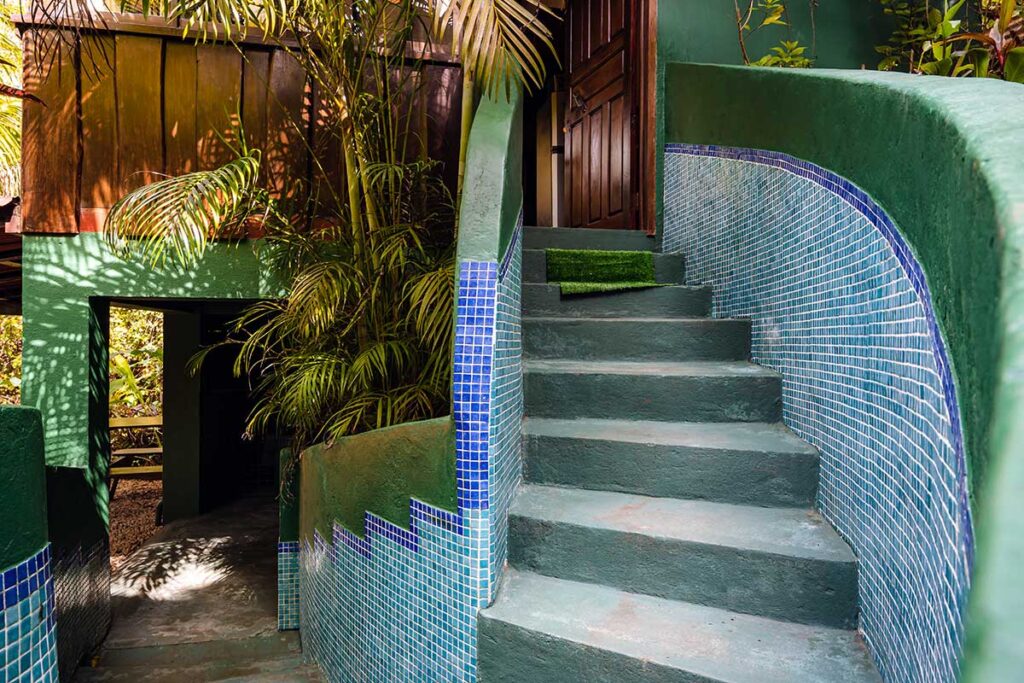 Tucancillo - Flor de Paraíso, Montezuma, Costa Rica