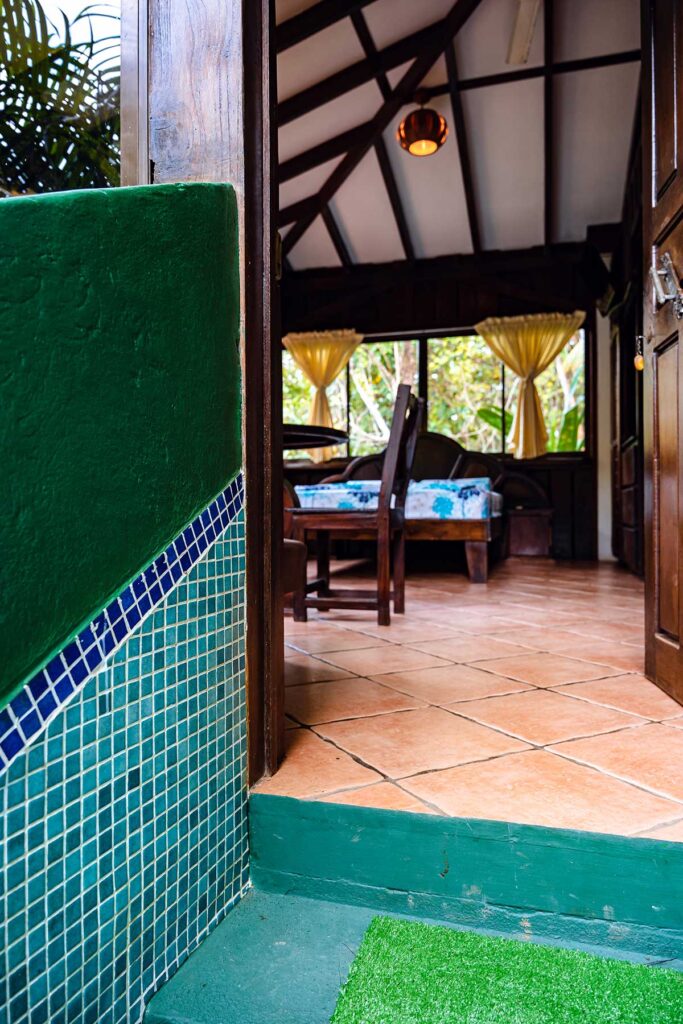 Tucancillo - Flor de Paraíso, Montezuma, Costa Rica