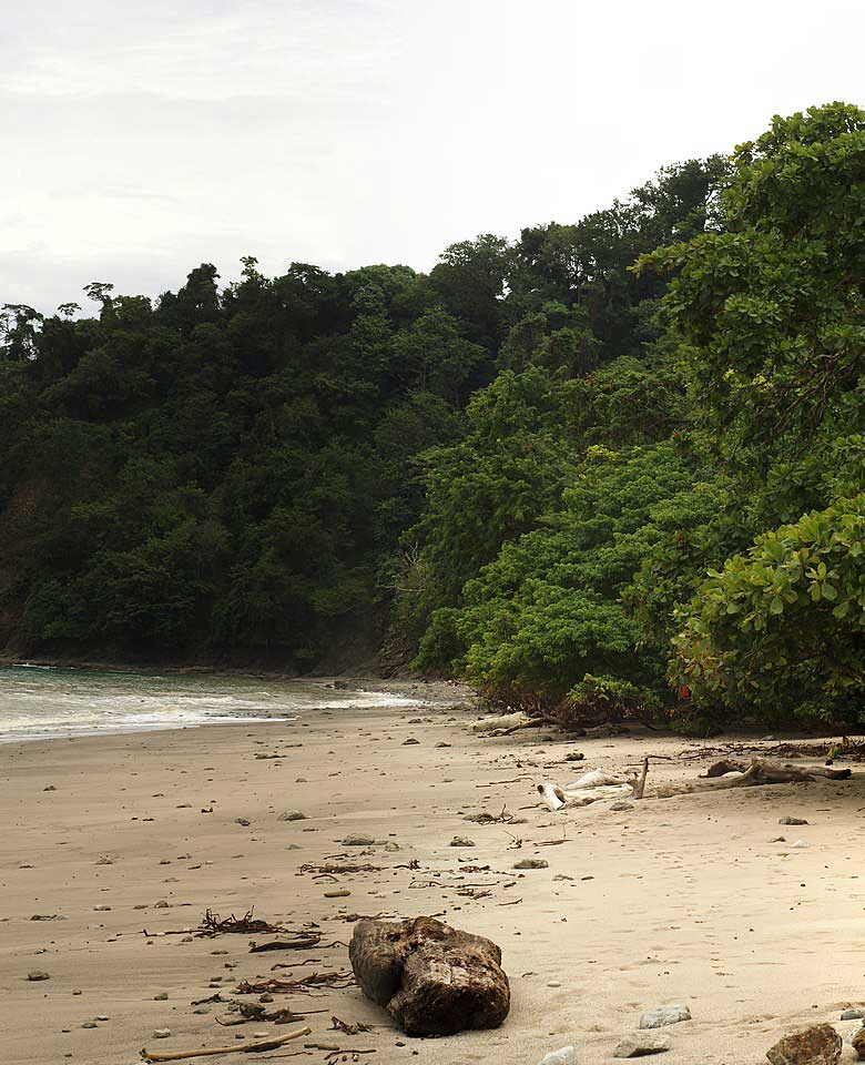 Cabo Blanco Absolute Nature Reserve, Costa Rica