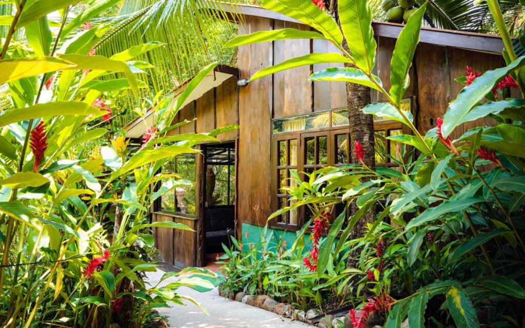 Casa El Árbol - Flor de Paraíso, Montezuma, Costa Rica