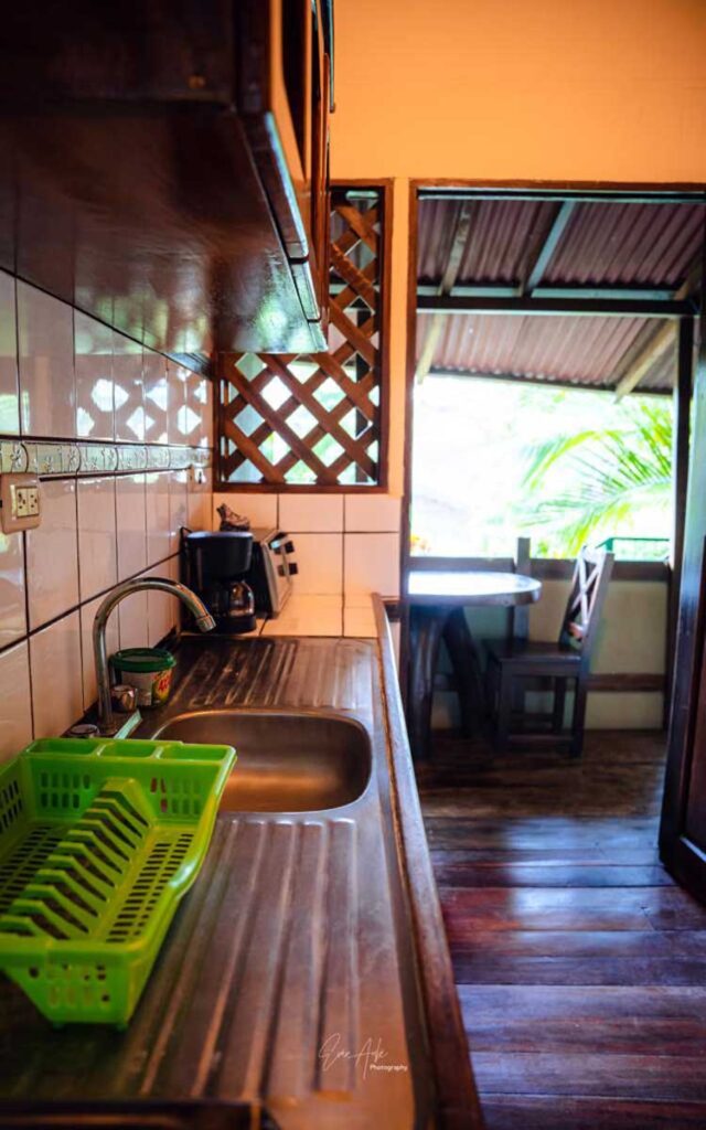 Trogon - Flor de Paraíso, Montezuma, Costa Rica