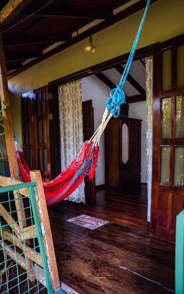 Trogon - Flor de Paraíso, Montezuma, Costa Rica