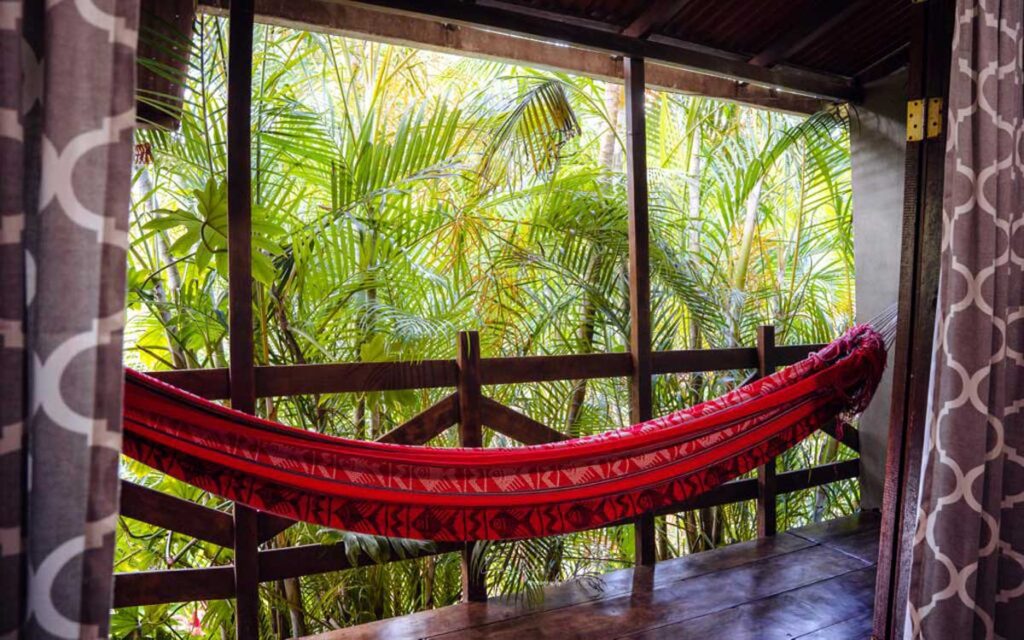 Trogon - Flor de Paraíso, Montezuma, Costa Rica