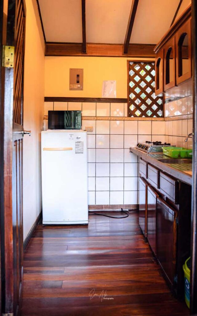 Trogon - Flor de Paraíso, Montezuma, Costa Rica