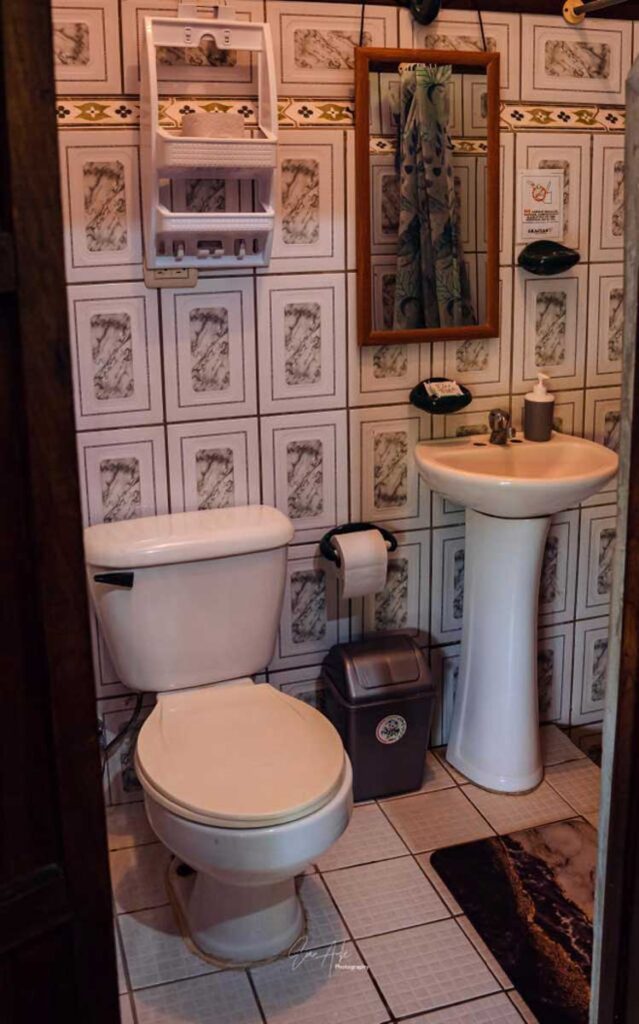 Trogon - Flor de Paraíso, Montezuma, Costa Rica