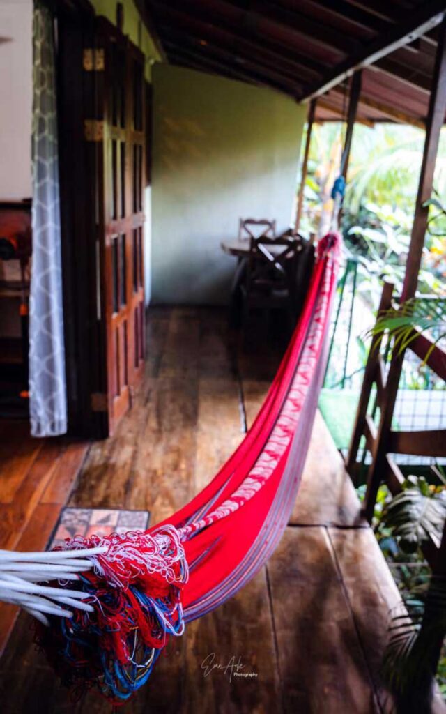 Trogon - Flor de Paraíso, Montezuma, Costa Rica