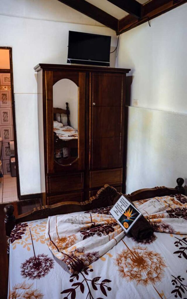 Trogon - Flor de Paraíso, Montezuma, Costa Rica