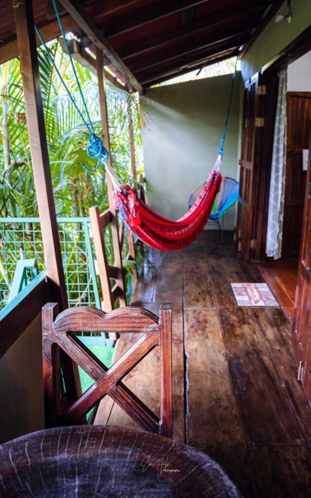 Trogon - Flor de Paraíso, Montezuma, Costa Rica