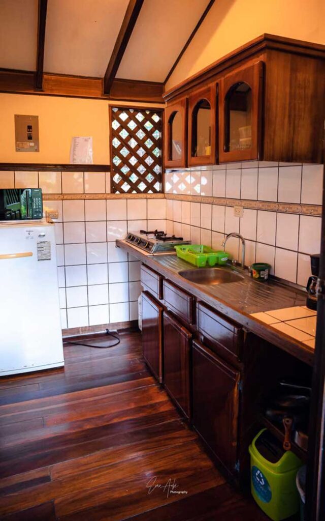 Trogon - Flor de Paraíso, Montezuma, Costa Rica