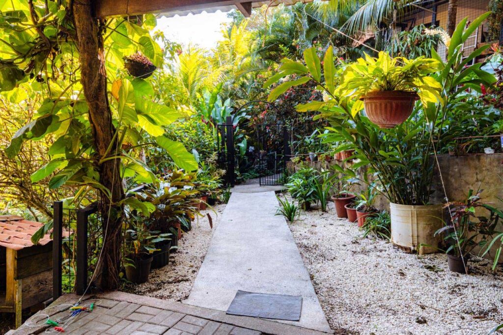 Casa Carpintero Lineado